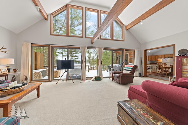 living room featuring beam ceiling, carpet flooring, and high vaulted ceiling