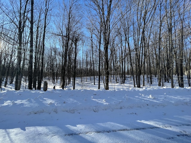 LOT281 Acacia Dr, Mancelona, MI 49659
