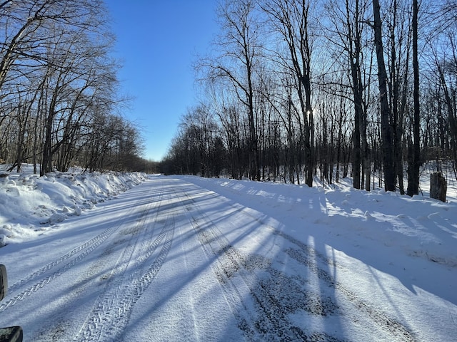 Listing photo 3 for LOT281 Acacia Dr, Mancelona MI 49659