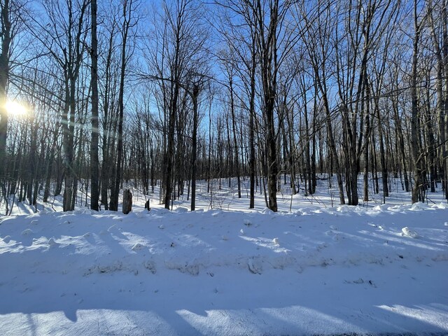 LOT281 Acacia Dr, Mancelona, MI 49659