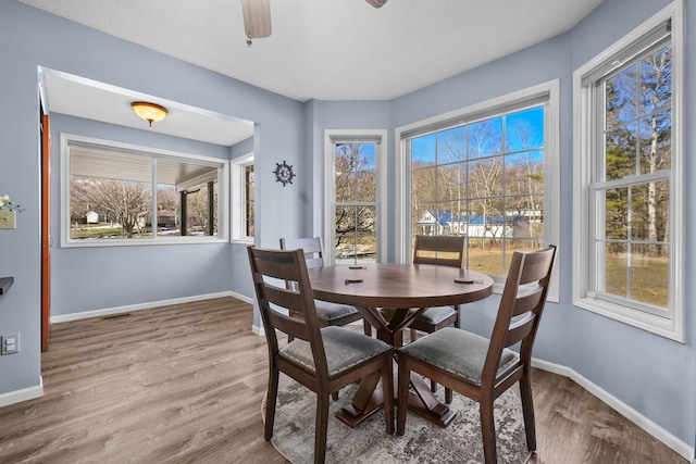 dining space featuring visible vents, a ceiling fan, baseboards, and wood finished floors