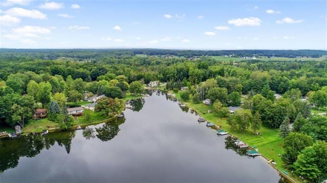 drone / aerial view featuring a wooded view and a water view