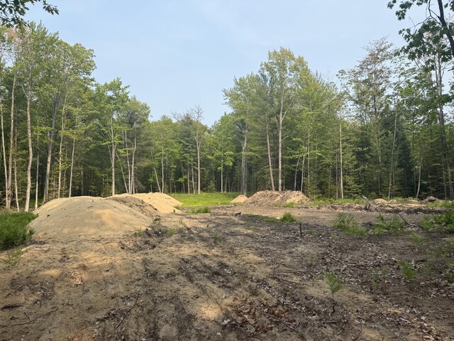 LOT20 Indian Oaks, Prudenville, MI 48651