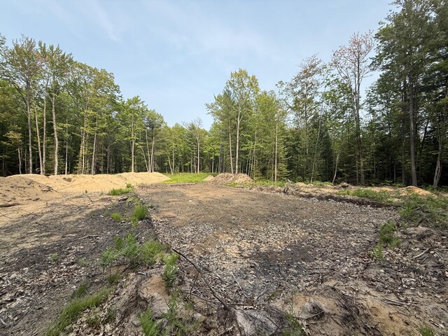 LOT20 Indian Oaks, Prudenville, MI 48651