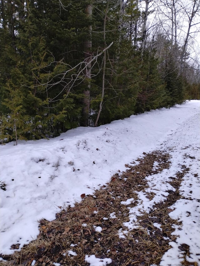 Listing photo 3 for LOT159 W Renwick Cir, Presque Isle MI 49777