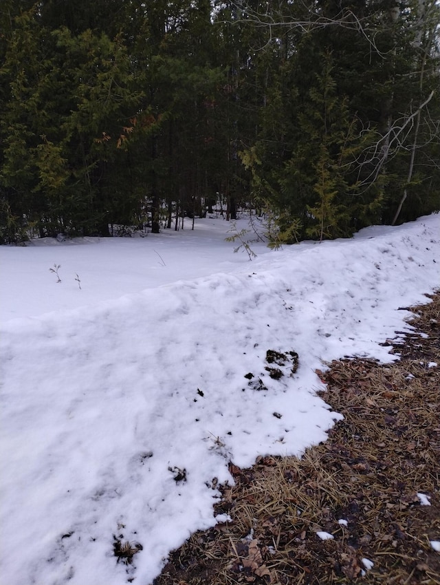 LOT159 W Renwick Cir, Presque Isle MI, 49777 land for sale