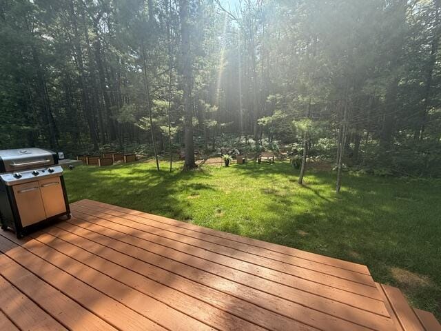 302 White Fawn Ct, Prudenville, MI 48651 - photo 21