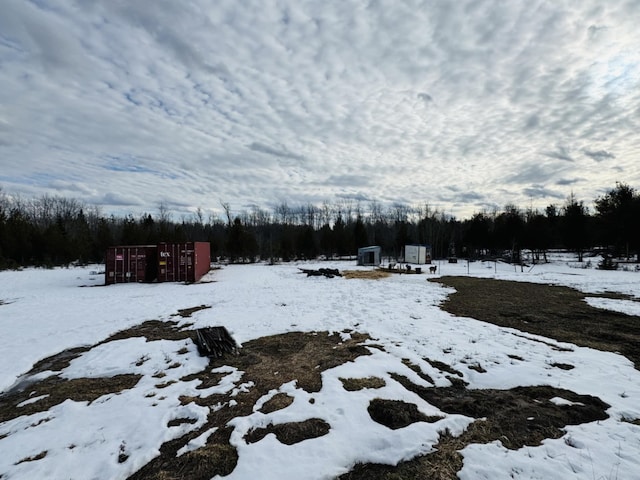 view of yard covered in snow