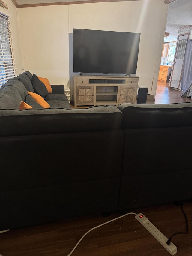 living room featuring wood finished floors