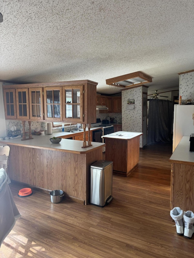 kitchen with dark wood-style floors, a peninsula, a center island, and glass insert cabinets