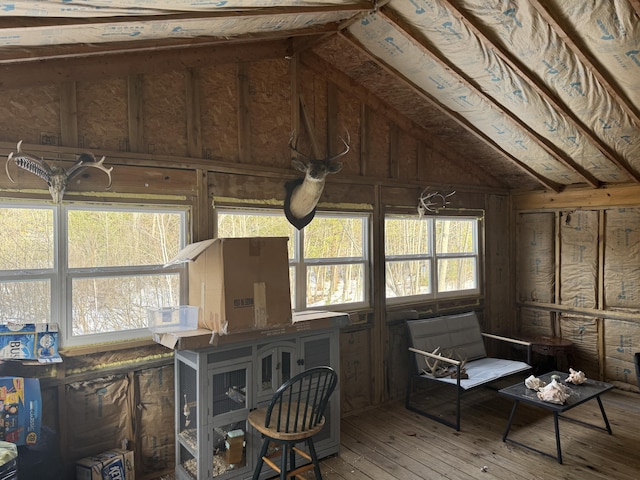 interior space with vaulted ceiling