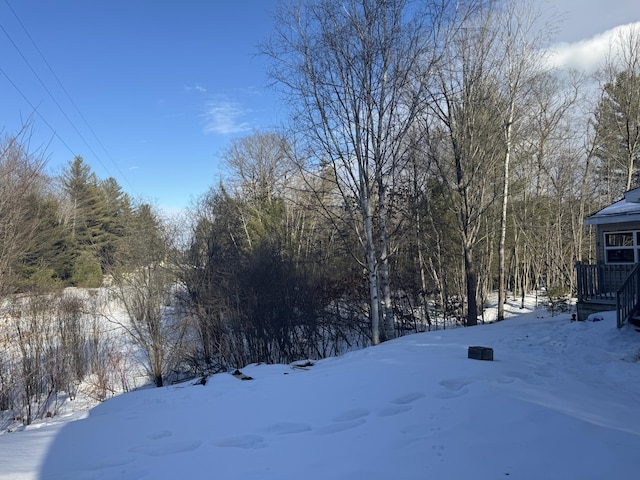 view of snowy yard