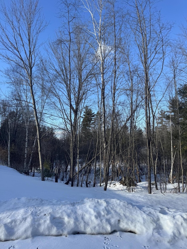 yard covered in snow featuring a view of trees