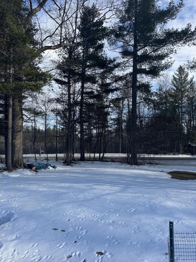 view of yard covered in snow