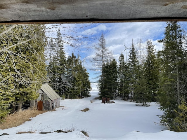 8610 Lincoln Bay Dr, Alpena, MI 49707 - yard covered in snow with an outdoor structure