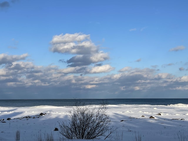 8610 Lincoln Bay Dr, Alpena, MI 49707 - property view of water