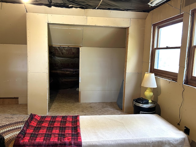 8610 Lincoln Bay Dr, Alpena, MI 49707 - bedroom with a closet