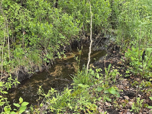 8393 E E W Branch Rd, Saint Helen, MI 48656 - view of undeveloped land