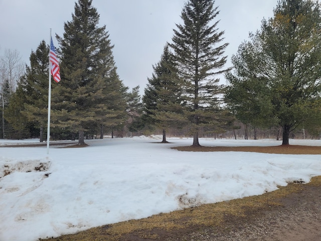 view of yard covered in snow