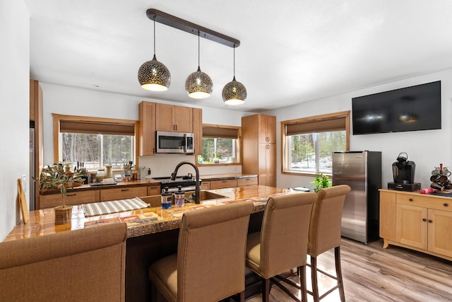 kitchen with pendant lighting, light wood-style flooring, a kitchen breakfast bar, stainless steel appliances, and a sink