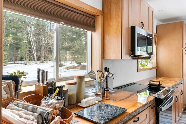 kitchen featuring stainless steel microwave, black electric range, and wood finished floors