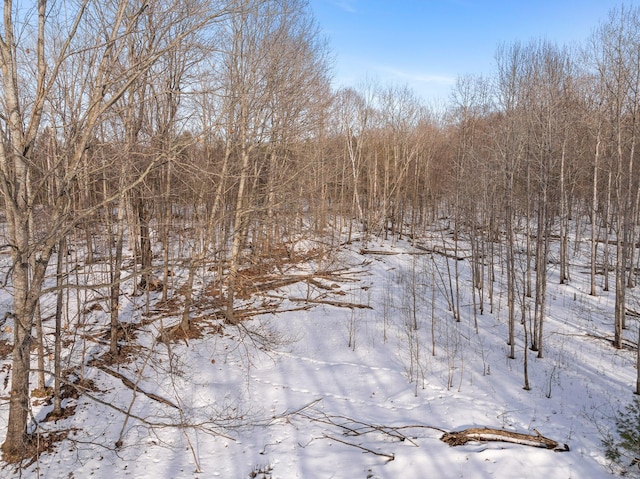 view of snow covered land