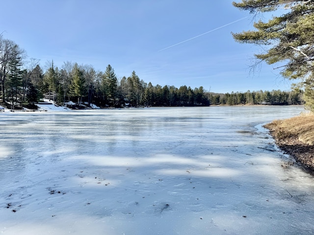 property view of water with a forest view