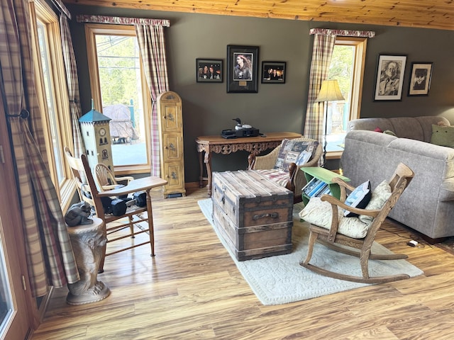 living room with wood finished floors