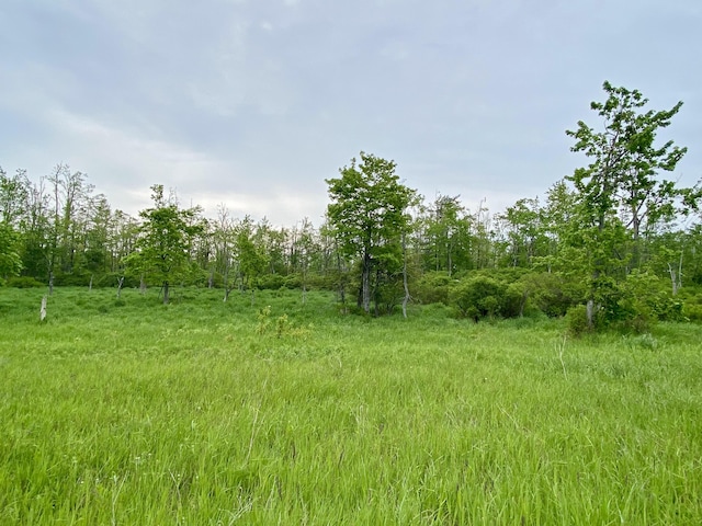 2708 Leino Rd, Johannesburg, MI 49751