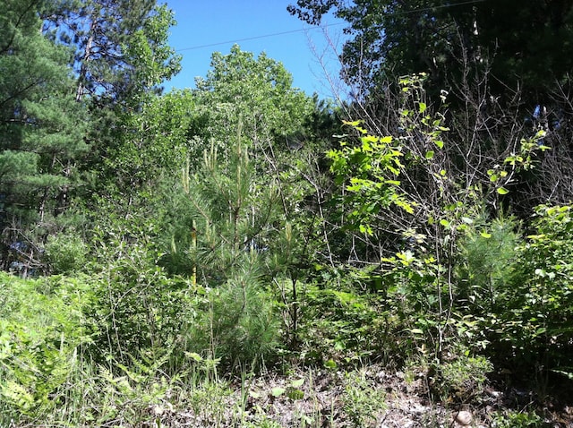 Forest Hills Dr, Spruce MI, 48762 land for sale