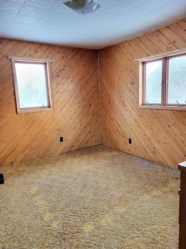 carpeted empty room with wood walls