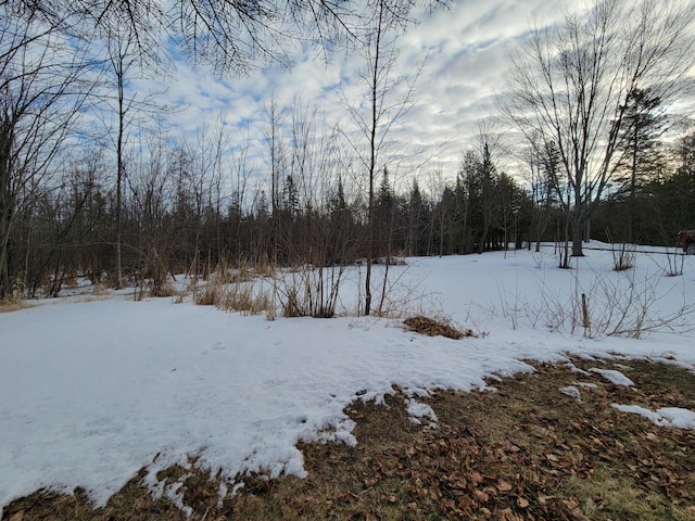 snowy yard with a view of trees