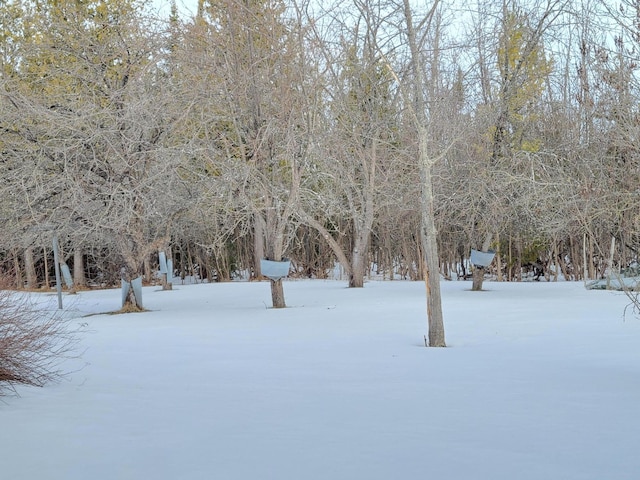 view of yard layered in snow