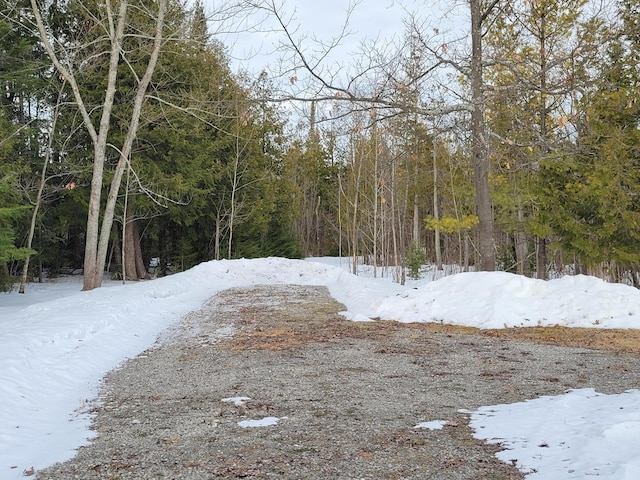 view of street featuring a wooded view