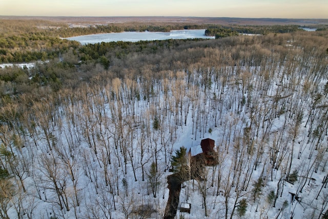 drone / aerial view featuring a water view and a wooded view