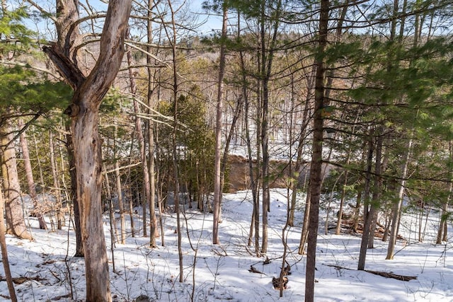 exterior space featuring a wooded view