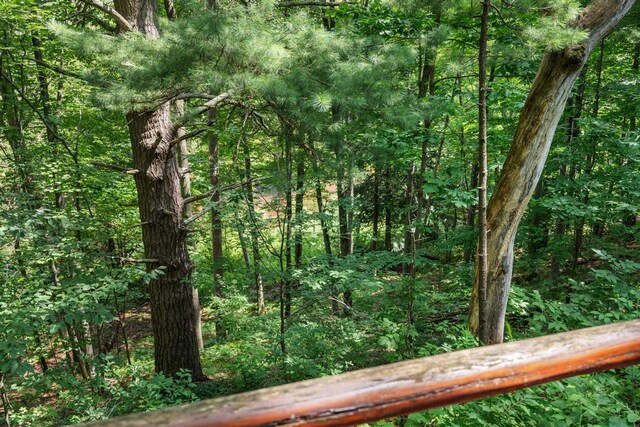 view of local wilderness featuring a wooded view