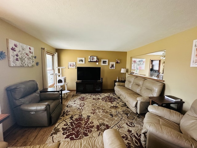 living room with wood finished floors and a textured ceiling