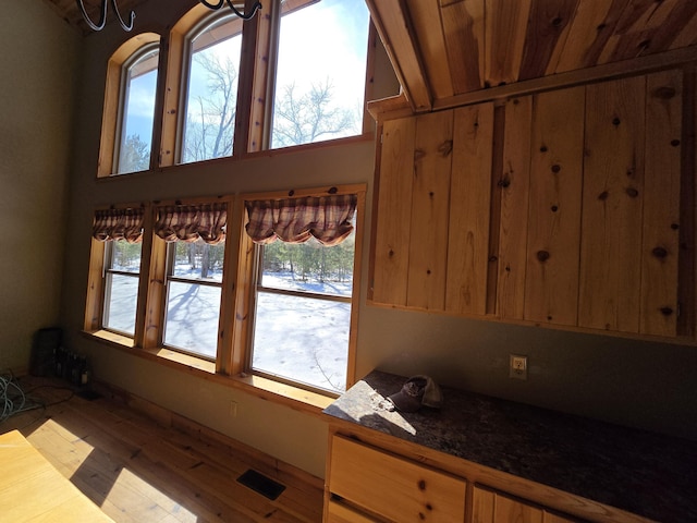 kitchen featuring wood finished floors