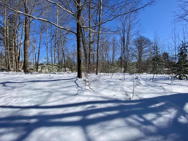 LOTS41 Mallard Trl, Gaylord, MI 49735 - photo 3