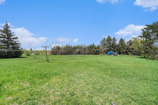 1114 Brooktrout Ln, Gaylord, MI 49735 - view of grassy yard