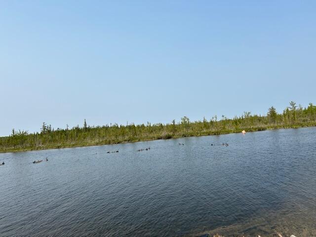 1467 N Black River Rd, Cheboygan, MI 49721 - water view
