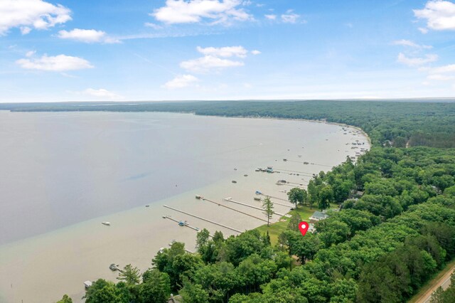 8530 W Higgins Lake Dr, Roscommon, MI 48653