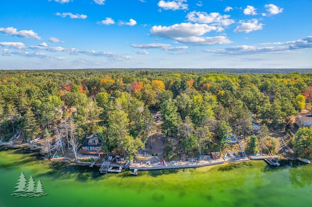 6122 Beach Rd, Johannesburg, MI 49751 - aerial view featuring a water view and a wooded view