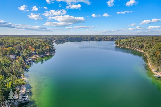 6122 Beach Rd, Johannesburg, MI 49751 - birds eye view of property featuring a water view and a forest view
