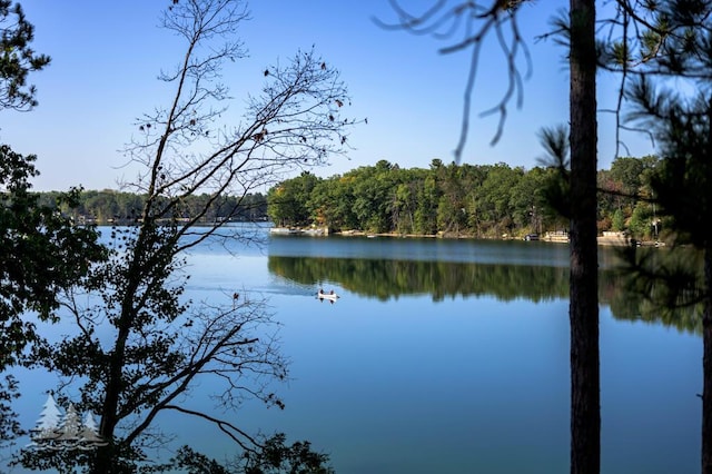 6122 Beach Rd, Johannesburg, MI 49751 - water view featuring a view of trees