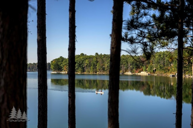6122 Beach Rd, Johannesburg, MI 49751 - view of water feature featuring a forest view