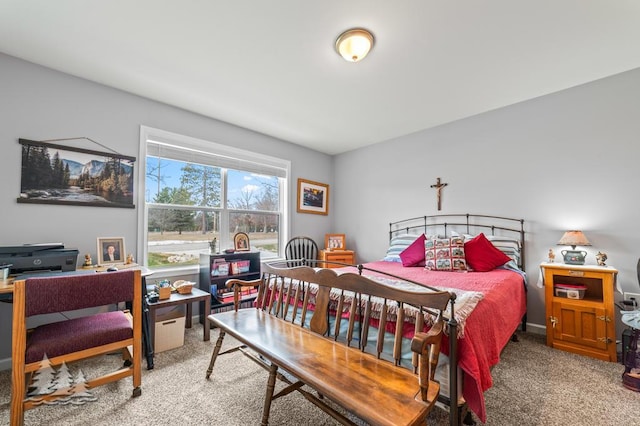 3211 Jenson St, Lewiston, MI 49756 - bedroom with light carpet