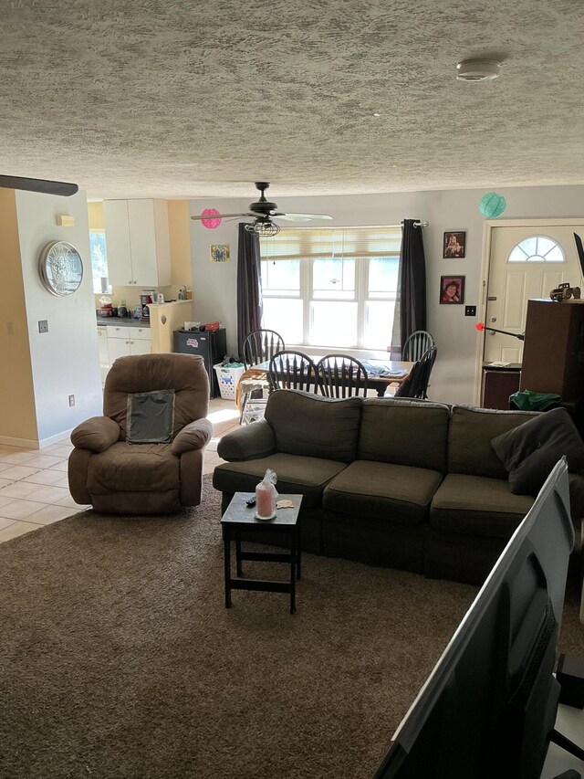 2007 M30, Gladwin, MI 48624 - living room with a textured ceiling, plenty of natural light, a ceiling fan, light tile patterned floors, and light colored carpet