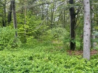 124 Cadillac Ave, Houghton Lake, MI 48629 - photo 1